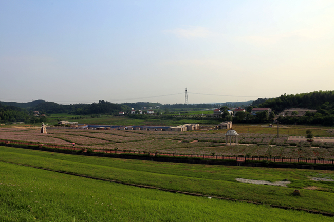 536c4c85-9740-4b0c-b0b2-330921a6290f.jpg 536c4c85-9740-4b0c-b0b2-330921a6290f.jpg