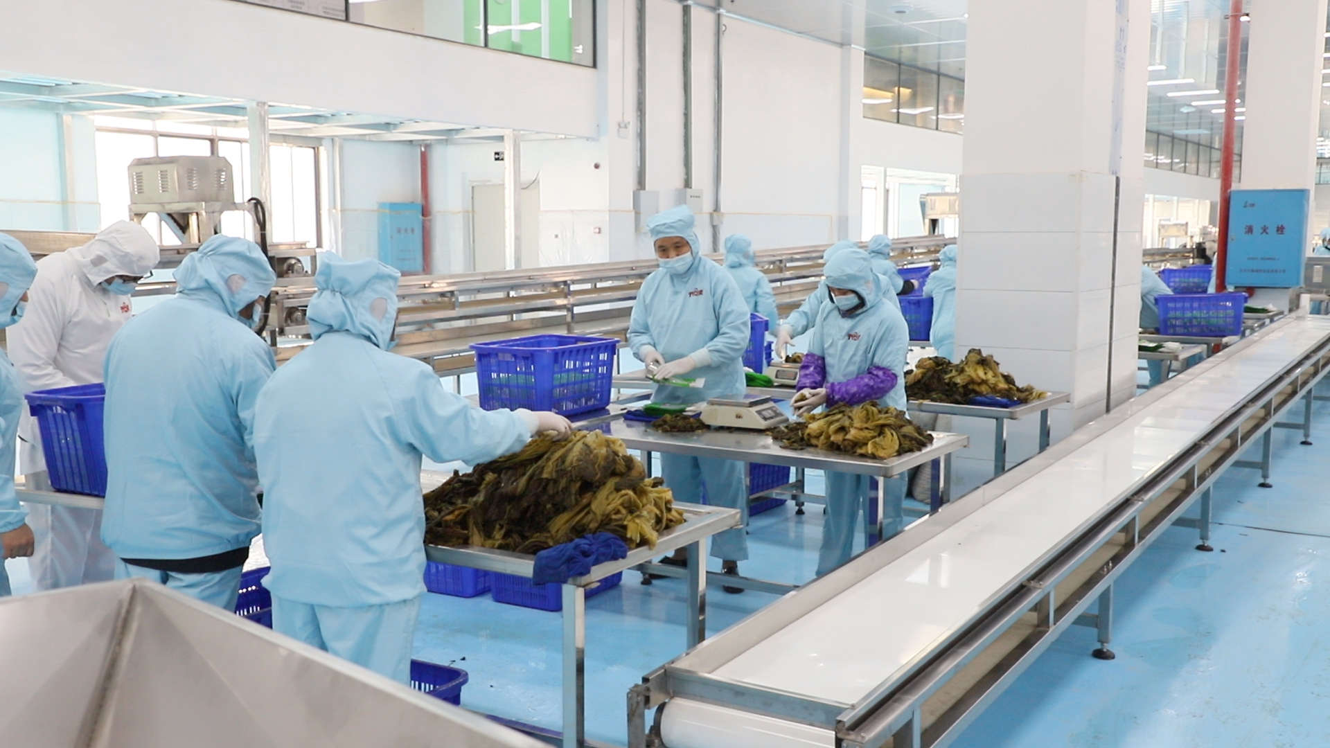 开口爽生产图.jpg 开口爽生产图.jpg