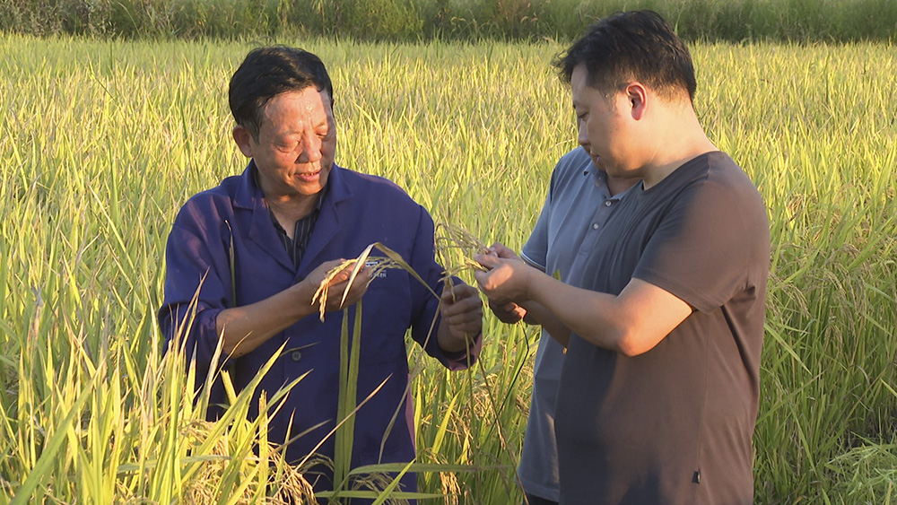 6.jpg2.jpg 6.jpg2.jpg