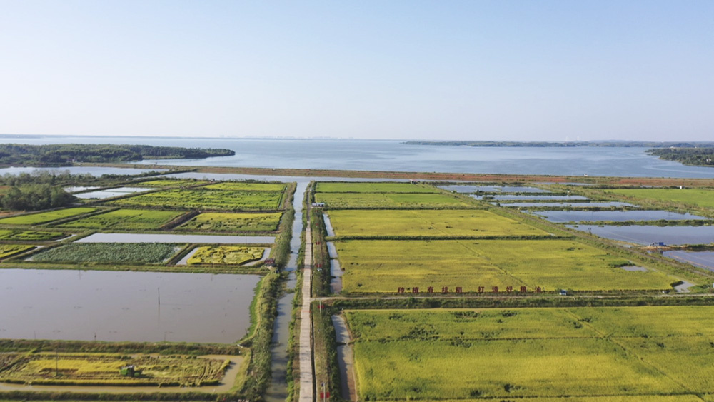 23.jpg1.jpg 23.jpg1.jpg