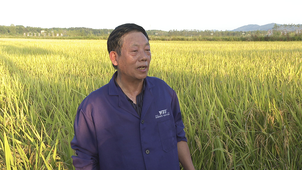 1.jpg1.jpg 1.jpg1.jpg