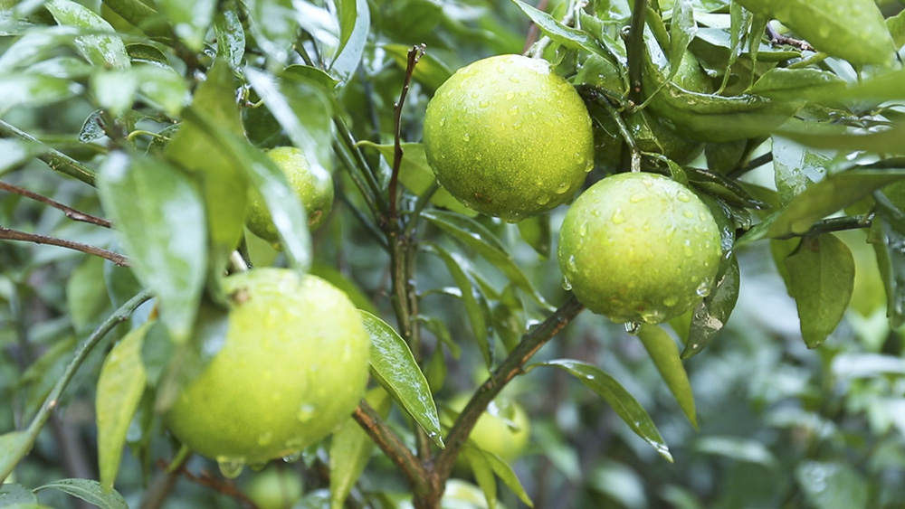 十三村1.jpg 十三村1.jpg