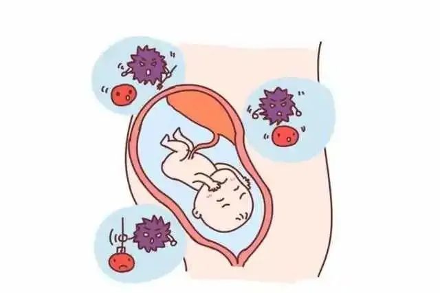 科普常识孕妇为什么要做b族链球菌检查