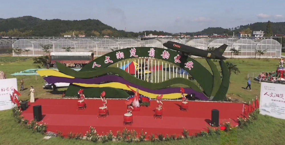 菊花3.jpg 菊花3.jpg