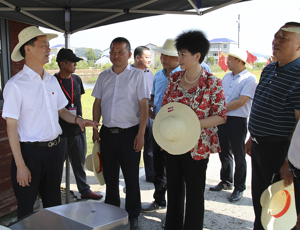 王文华督导5.jpg2.jpg 王文华督导5.jpg2.jpg