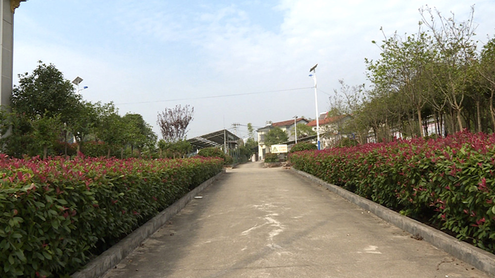 光电11.jpg 光电11.jpg