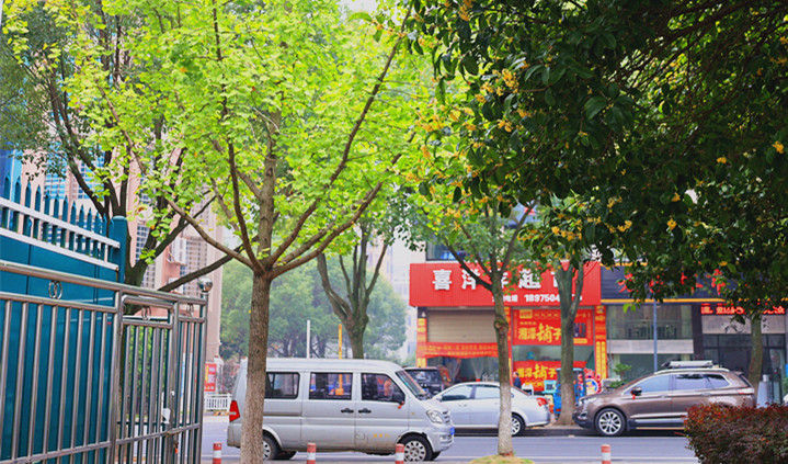IMG_4091_副本.jpg