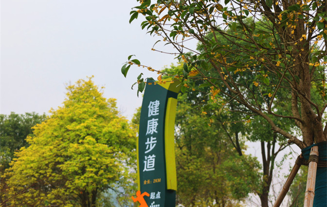 IMG_4152_副本.jpg