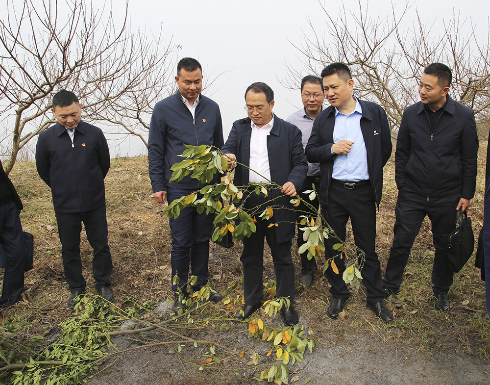 IMG_7692.jpg1.jpg IMG_7692.jpg1.jpg