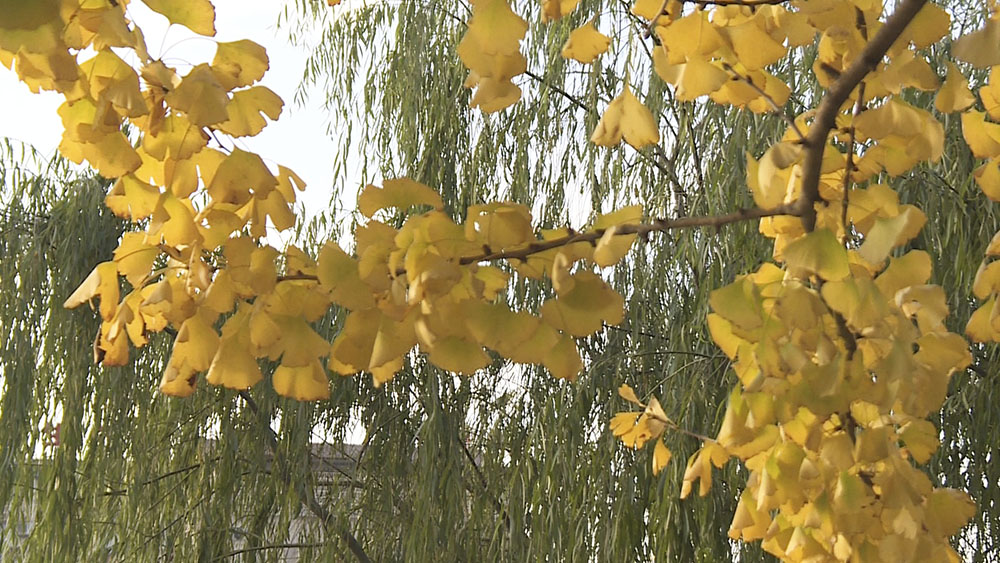 长安河13.jpg1.jpg 长安河13.jpg1.jpg