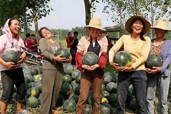 微信图片_20211220114309.jpg 微信图片_20211220114309.jpg