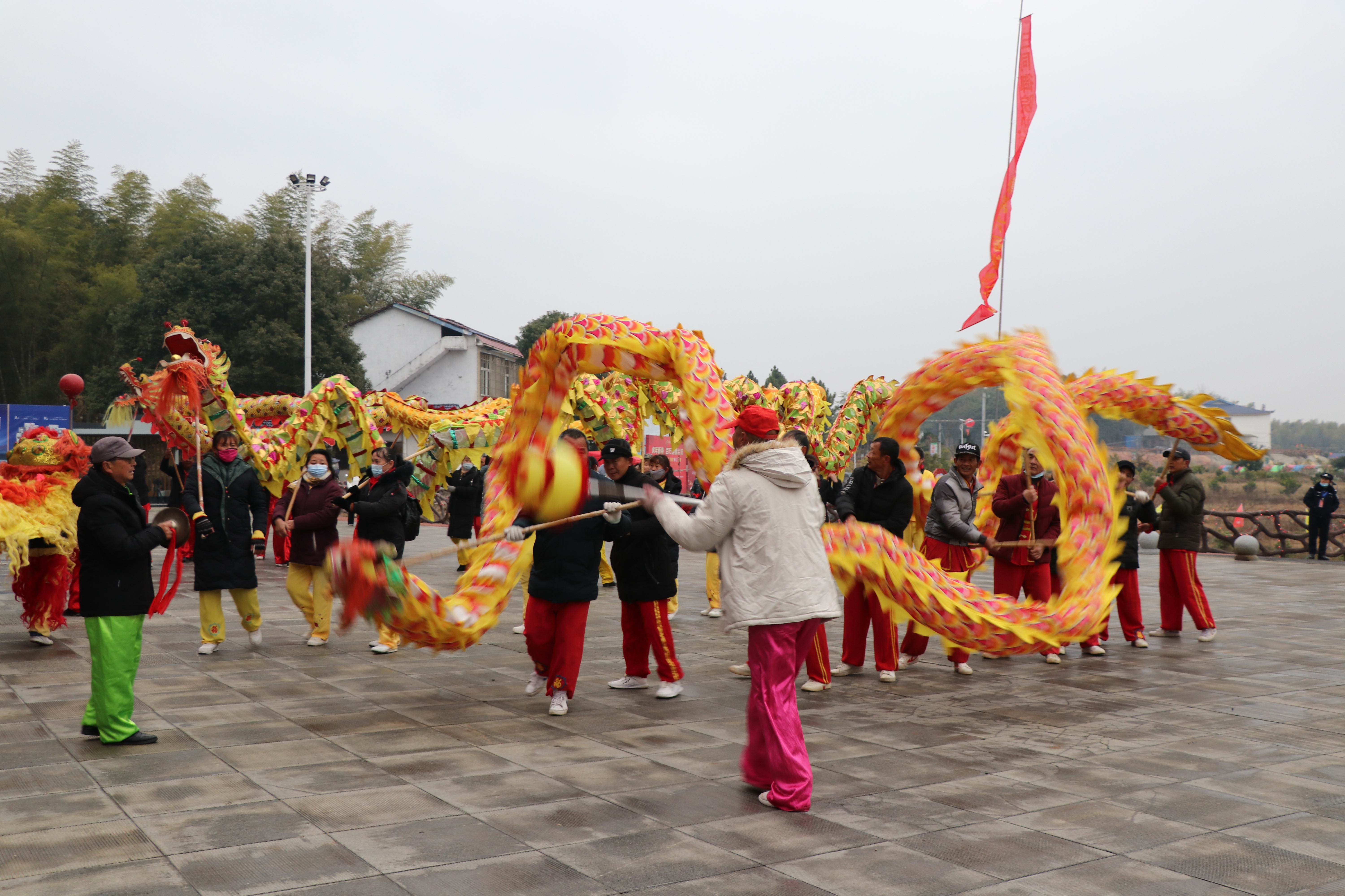 IMG_9562.JPG IMG_9562.JPG