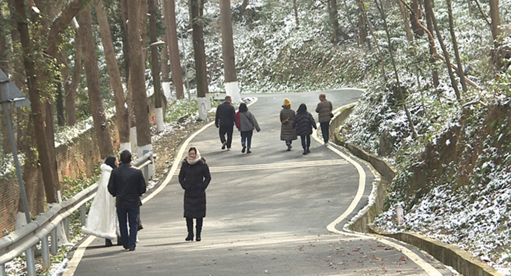 五尖山雪景003_副本.jpg