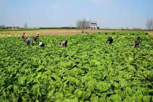 微信图片_20220105084537.jpg 微信图片_20220105084537.jpg