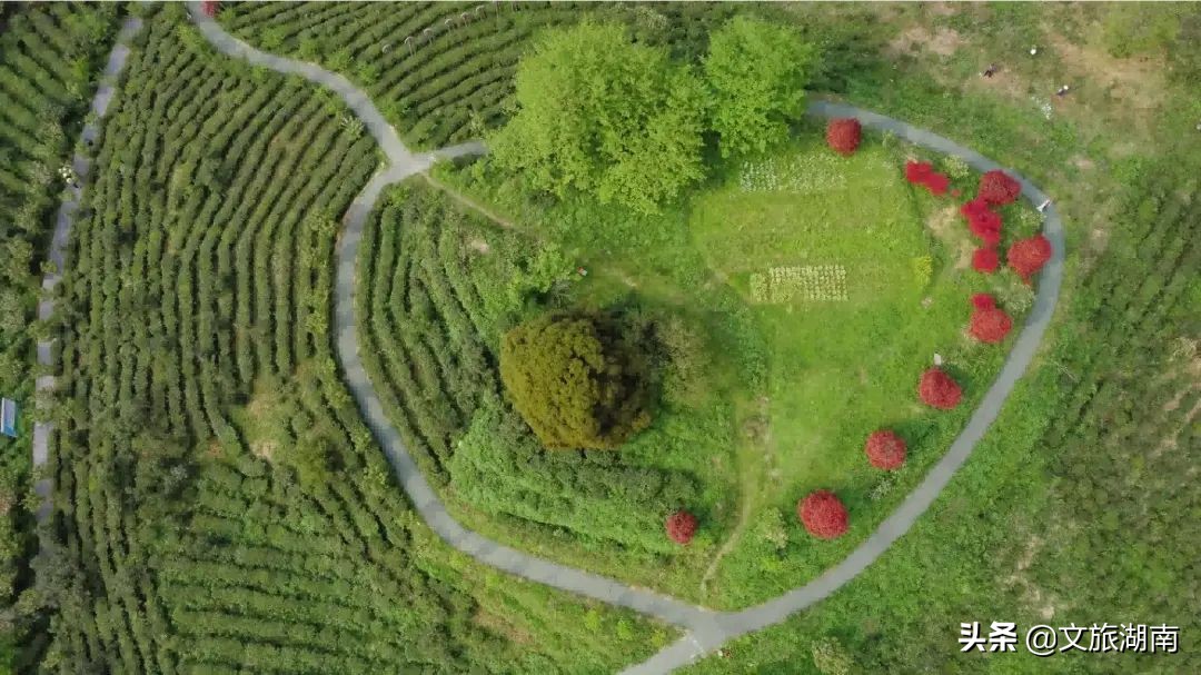 快看！湖南省拟新增34家五星级乡村旅游区（点）