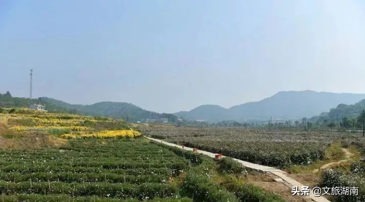 快看！湖南省拟新增34家五星级乡村旅游区（点）