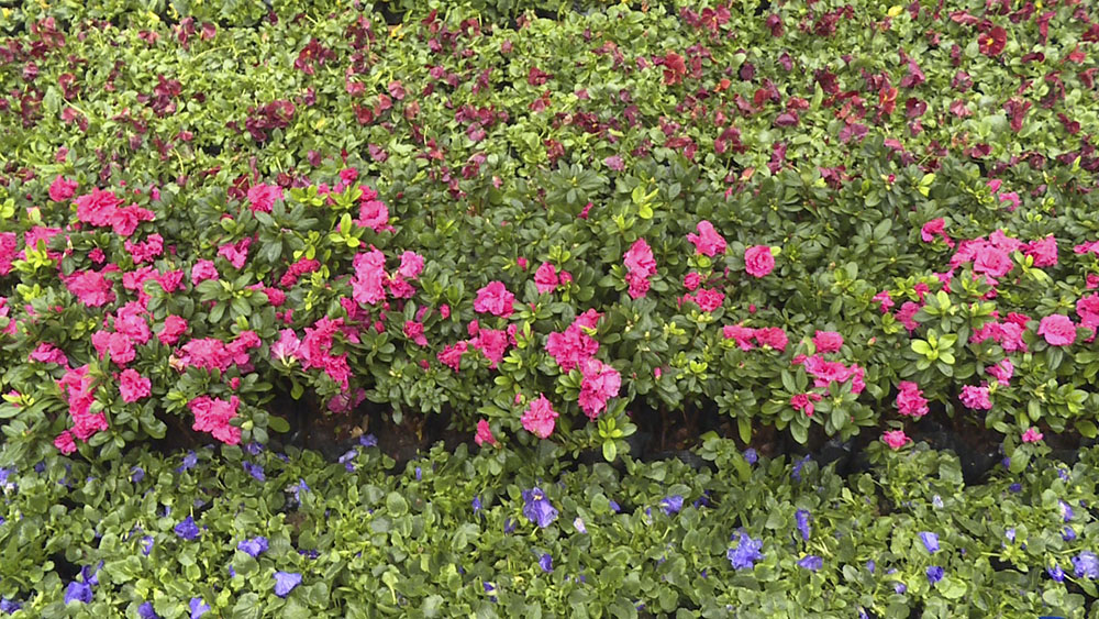 6.jpg-1.jpg 6.jpg-1.jpg