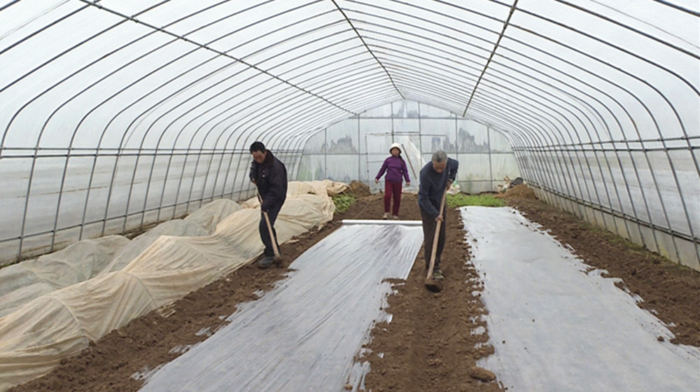 春耕3 (2)_副本.jpg