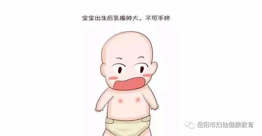 新生儿乳腺肿大图片