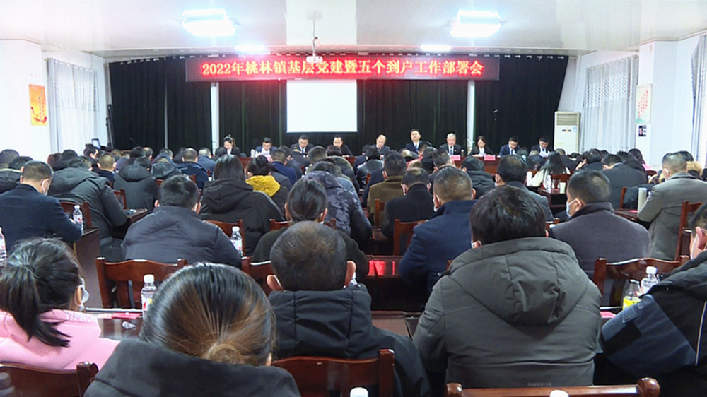 桃林三级干部会_副本.jpg 桃林三级干部会_副本.jpg