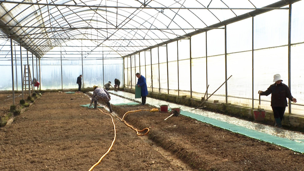 张兵驹004_副本.jpg 张兵驹004_副本.jpg