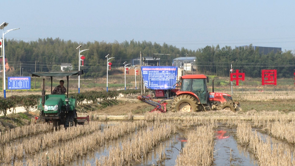 张兵驹002_副本.jpg 张兵驹002_副本.jpg