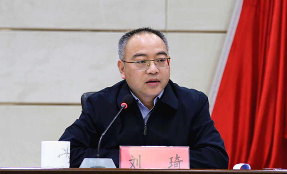 刘琦第一次安委会(1)_副本.jpg