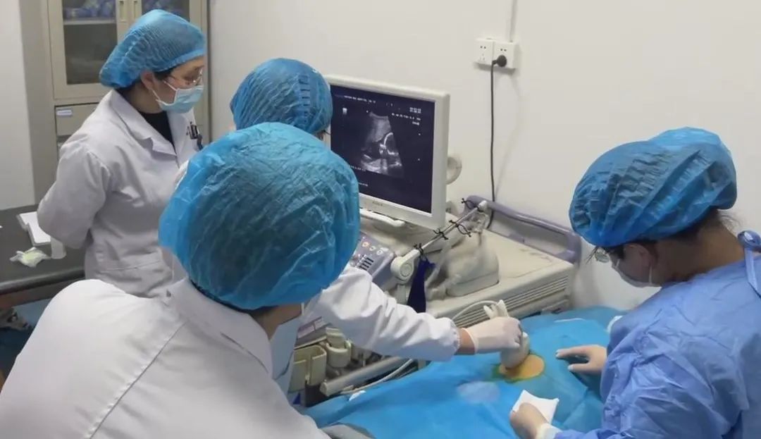 医疗资讯岳阳市首例双胎羊水穿刺在市妇幼保健院成功开展