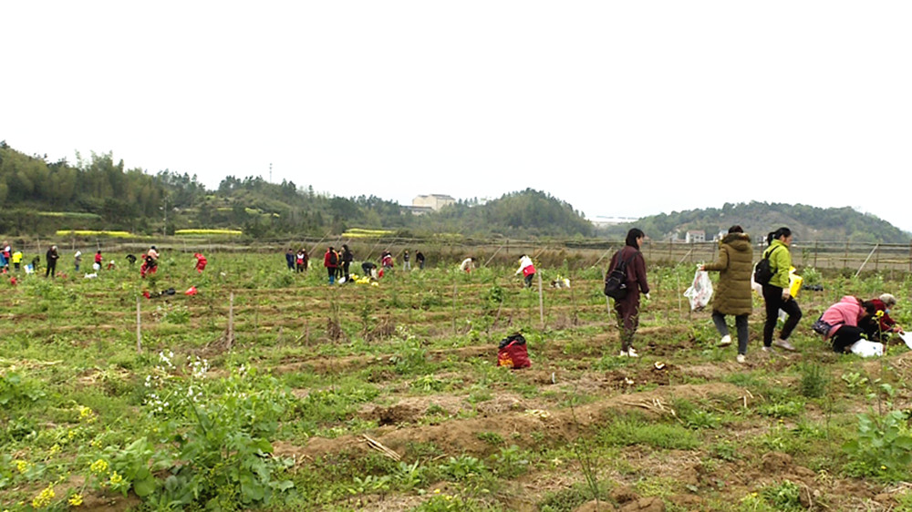 乐善助农帮劳模_副本.jpg 乐善助农帮劳模_副本.jpg