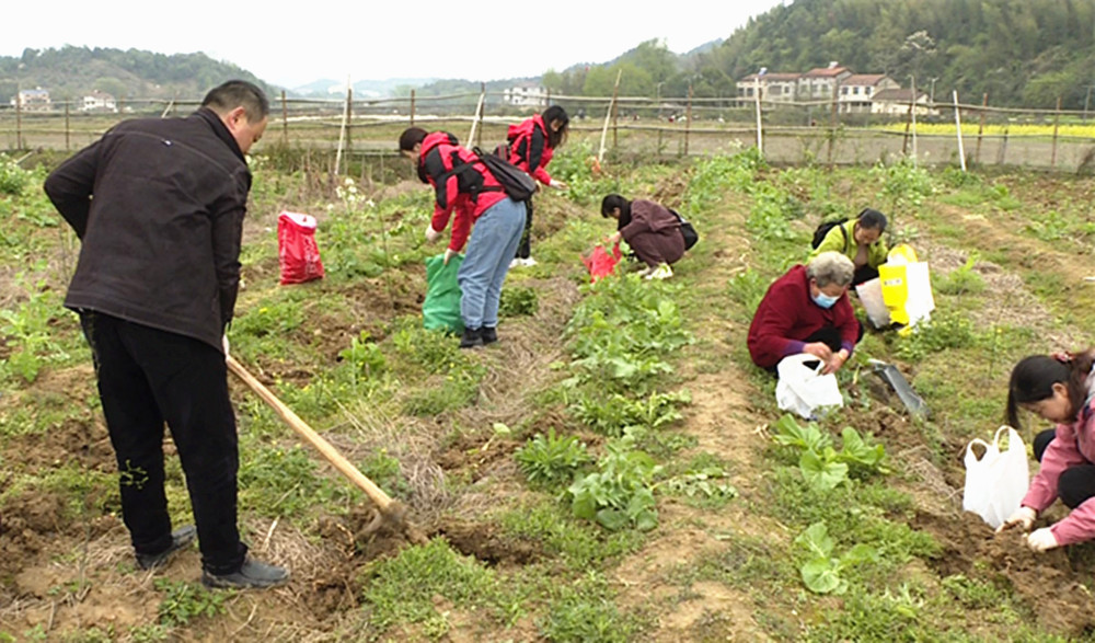乐善助农帮劳模004_副本.jpg 乐善助农帮劳模004_副本.jpg