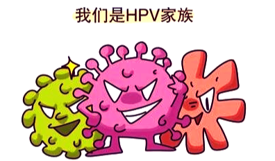 妇幼专家谈健康科普hpv病毒与宫颈癌的关系