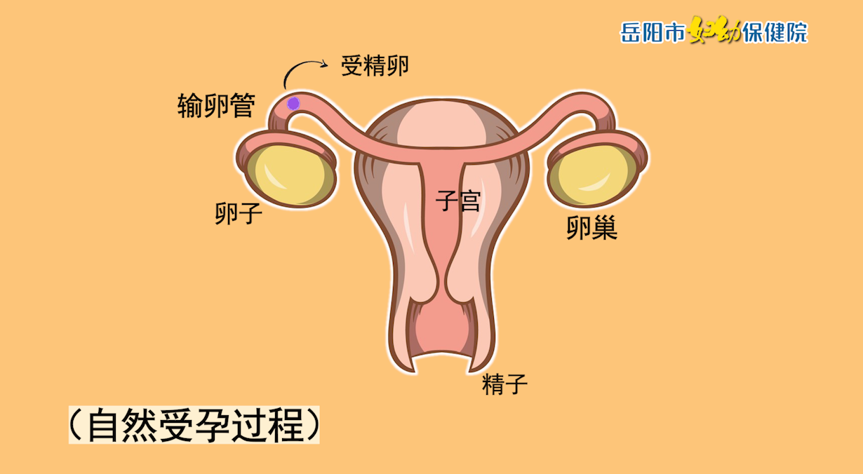 微信截图_20211029124129.png