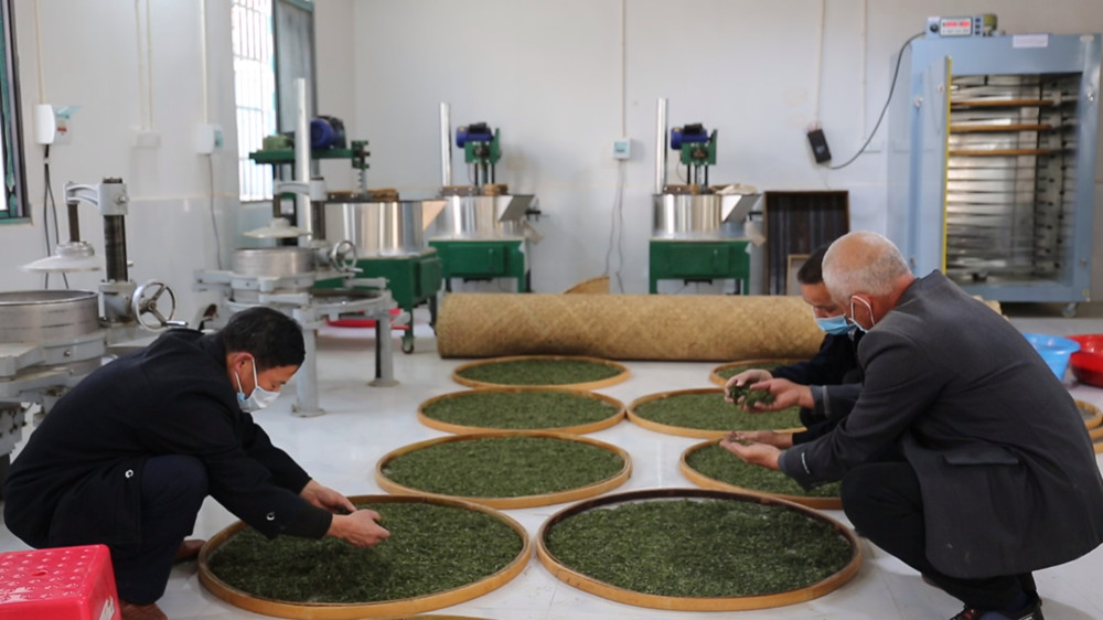 桃林茶叶007_副本1.jpg