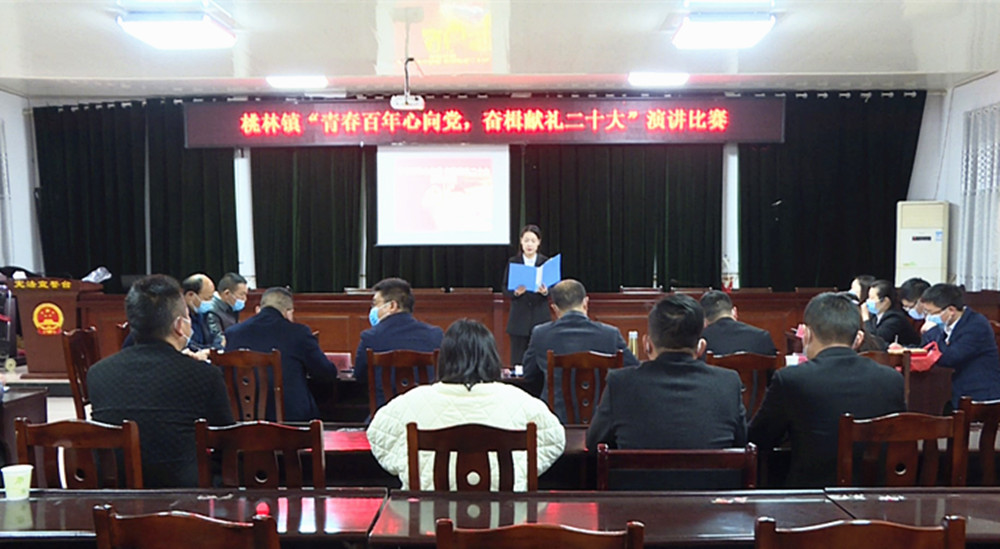 桃林镇演讲001_副本.jpg