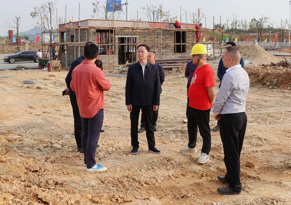 王文华督导项目建设1.jpg