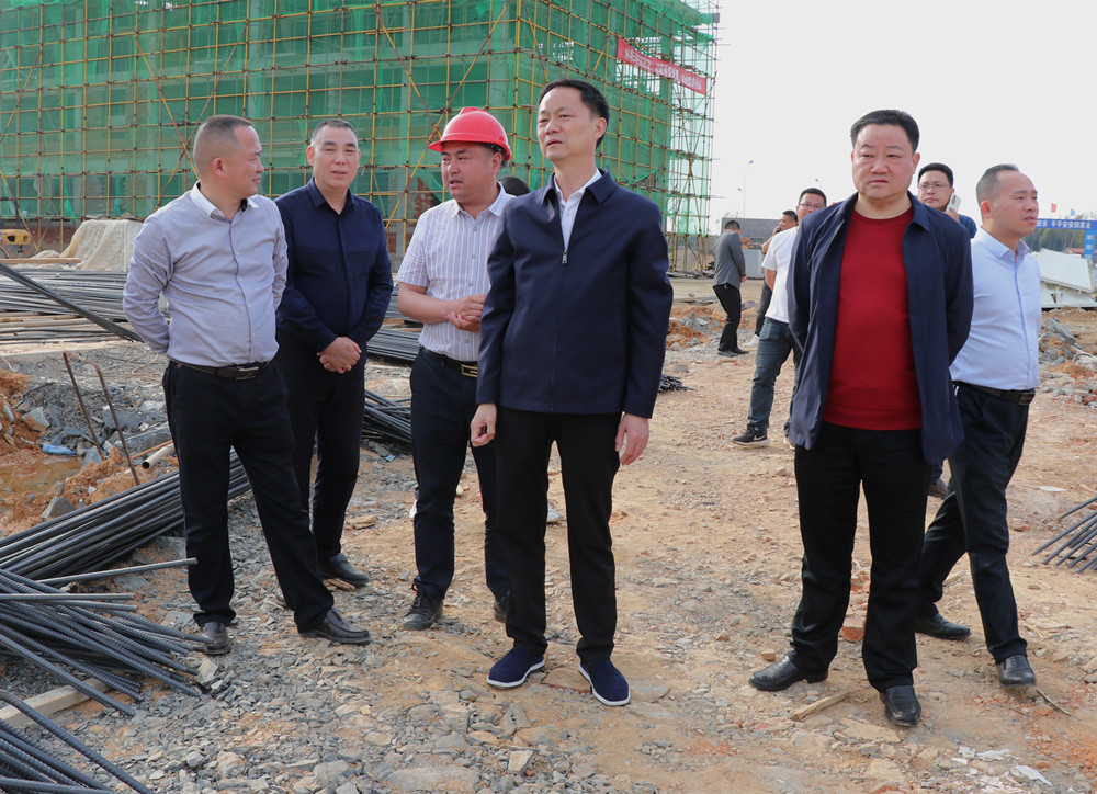 王文华督导项目建设.jpg