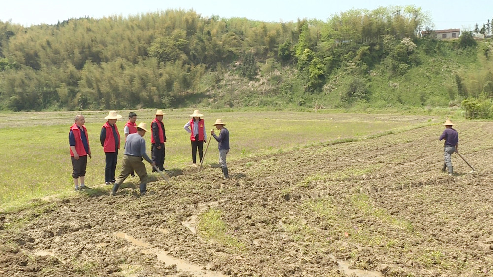 羊楼司文白复耕005_副本1.jpg 羊楼司文白复耕005_副本1.jpg