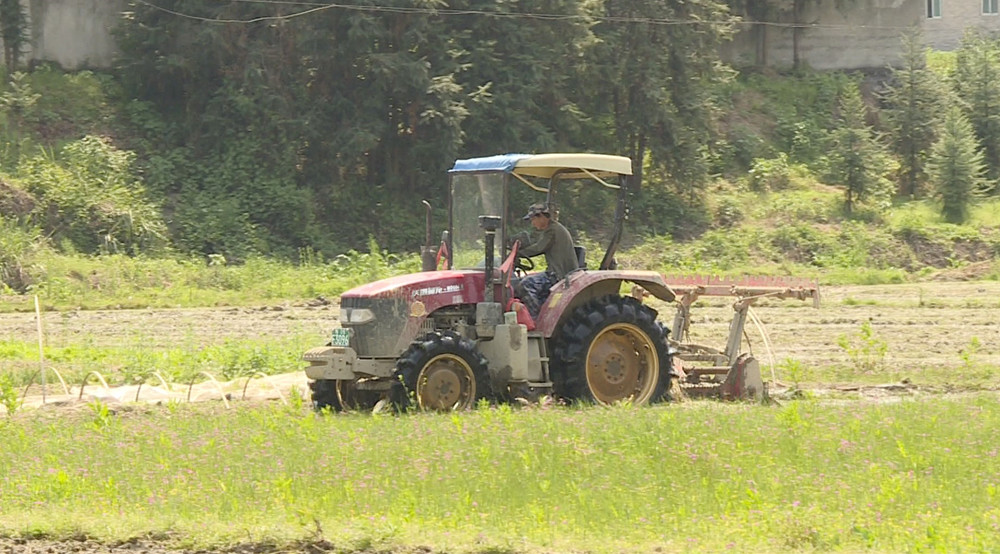 羊楼司文白复耕002_副本.jpg 羊楼司文白复耕002_副本.jpg