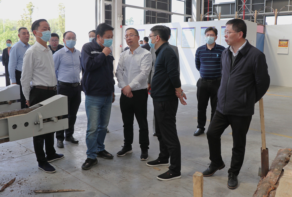 岳阳视察1.jpg 岳阳视察1.jpg