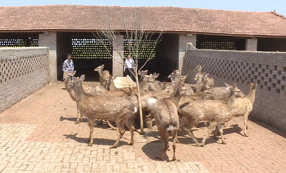 长塘农庄001_副本.jpg 长塘农庄001_副本.jpg