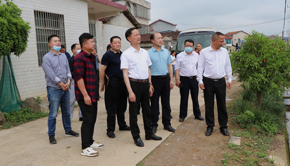 书记调研桃林.jpg