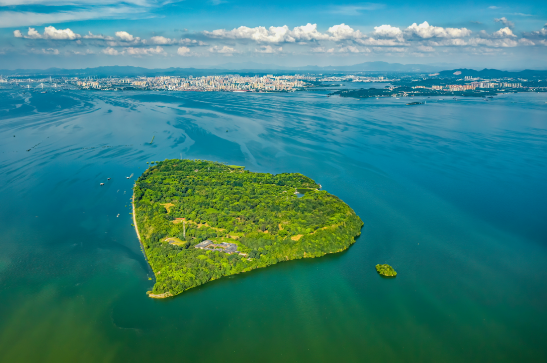 赛展@评选｜|将“美丽岳阳”寄出去，明信片全市影赛揭晓