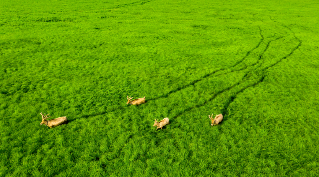 赛展@评选｜|将“美丽岳阳”寄出去，明信片全市影赛揭晓