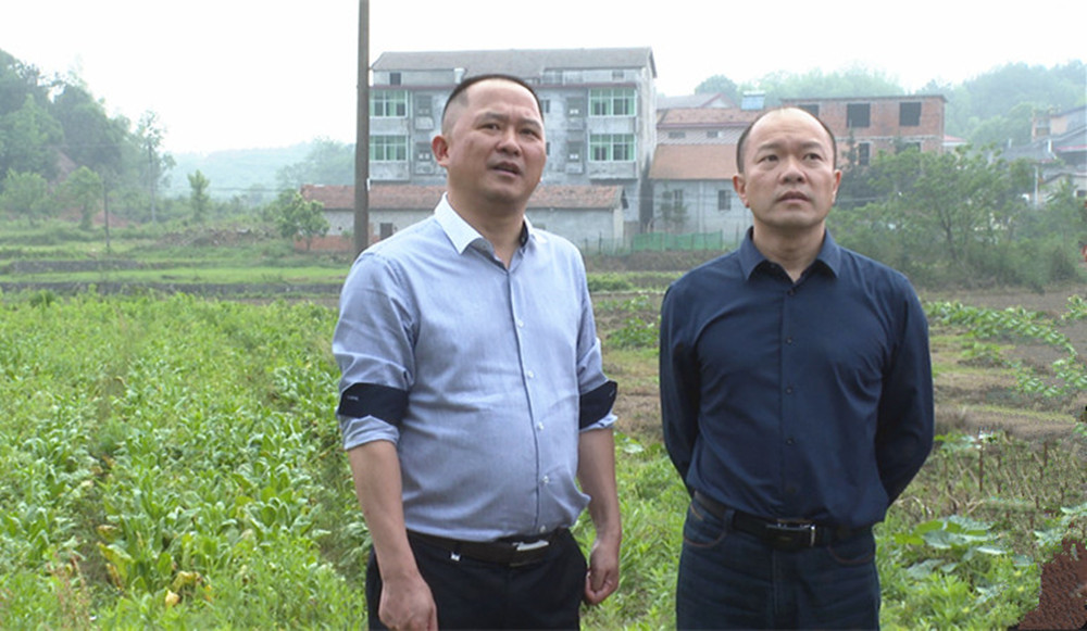 易兴建桃林调研020_副本_副本.jpg 易兴建桃林调研020_副本_副本.jpg