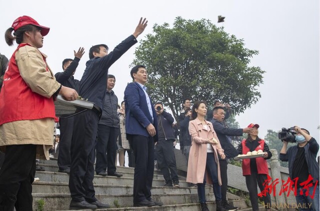 落花风满袖，吟诗到桥边，中南大学诗话桥团队“醉”在诗意汨罗江