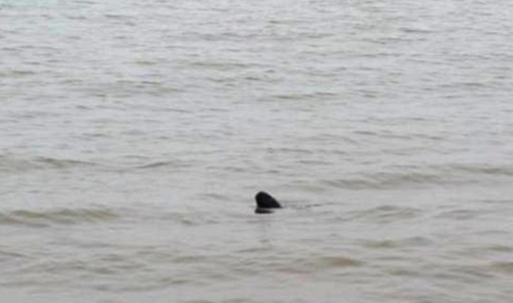 微信图片_20220517165747_副本.jpg 微信图片_20220517165747_副本.jpg