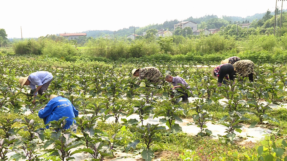 云湖安置房011_副本.jpg 云湖安置房011_副本.jpg