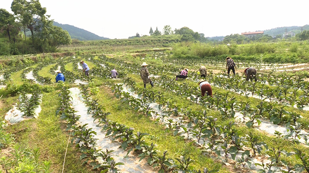 云湖安置房010_副本.jpg 云湖安置房010_副本.jpg