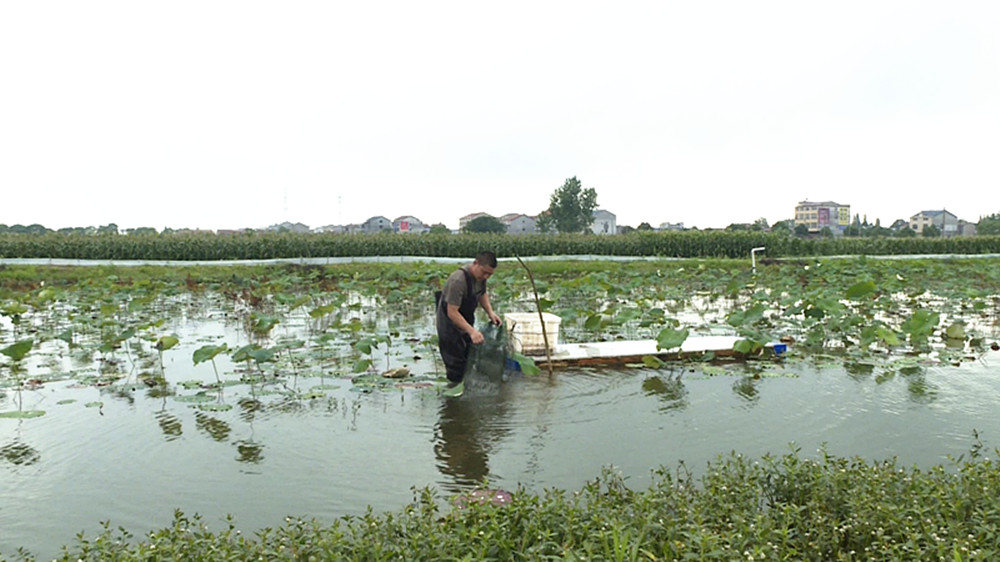 6.7龙虾_副本.jpg 6.7龙虾_副本.jpg