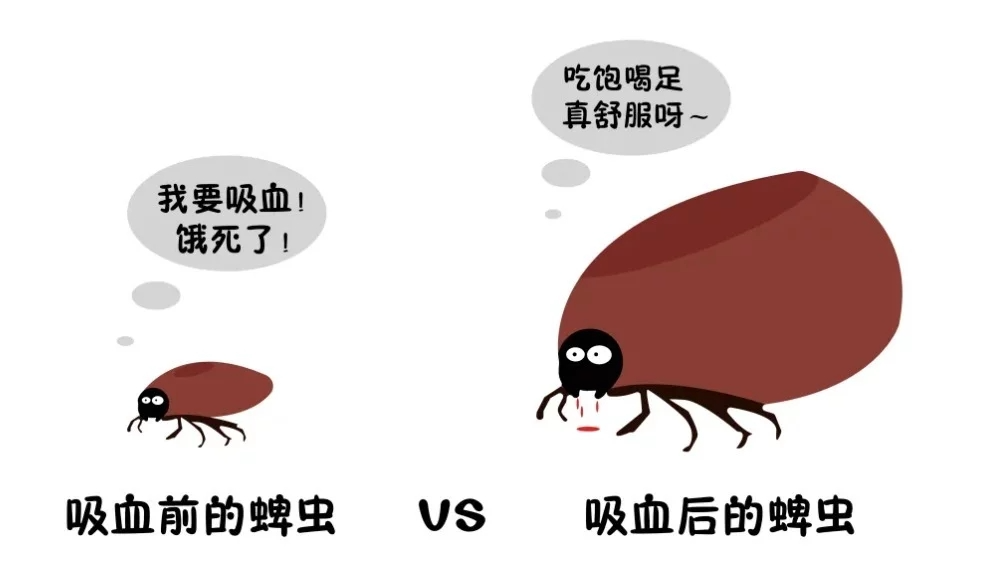 t0140663613d19b6688.webp.jpg